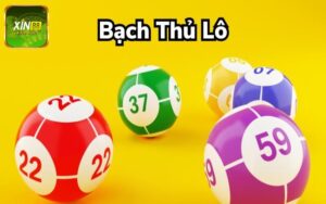 Bạch thủ lô là gì?