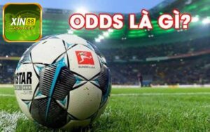 Khái niệm tỷ lệ Odds